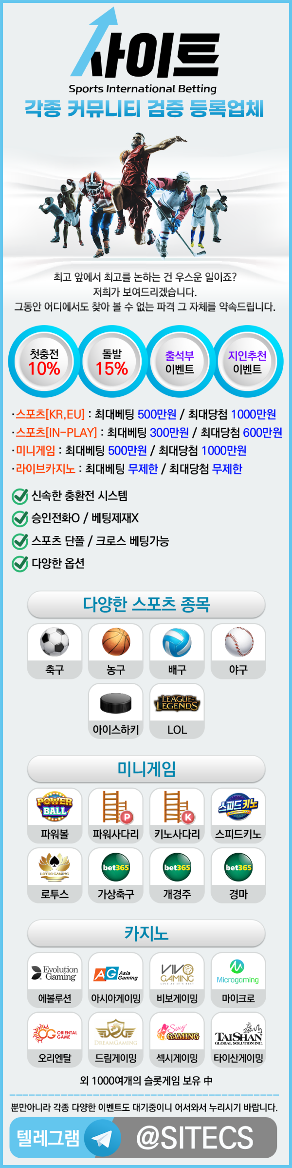사이트