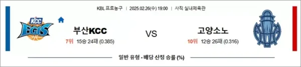 로얄스포츠 스포츠분석